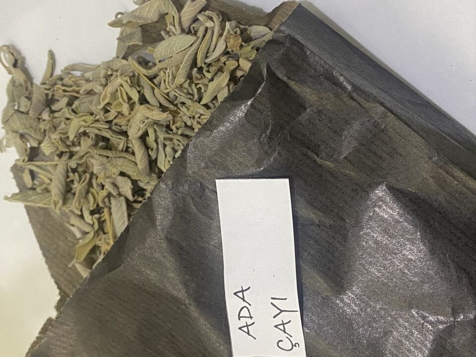 Yaprak Adaçayı