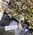 Hayıt