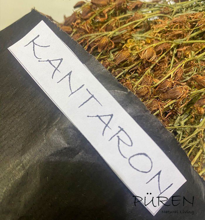 Kantaron Yaprağı