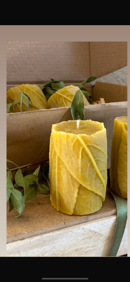 Yaprak Sutun Balmumu Mum